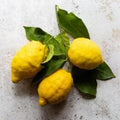  Amalfi Lemon