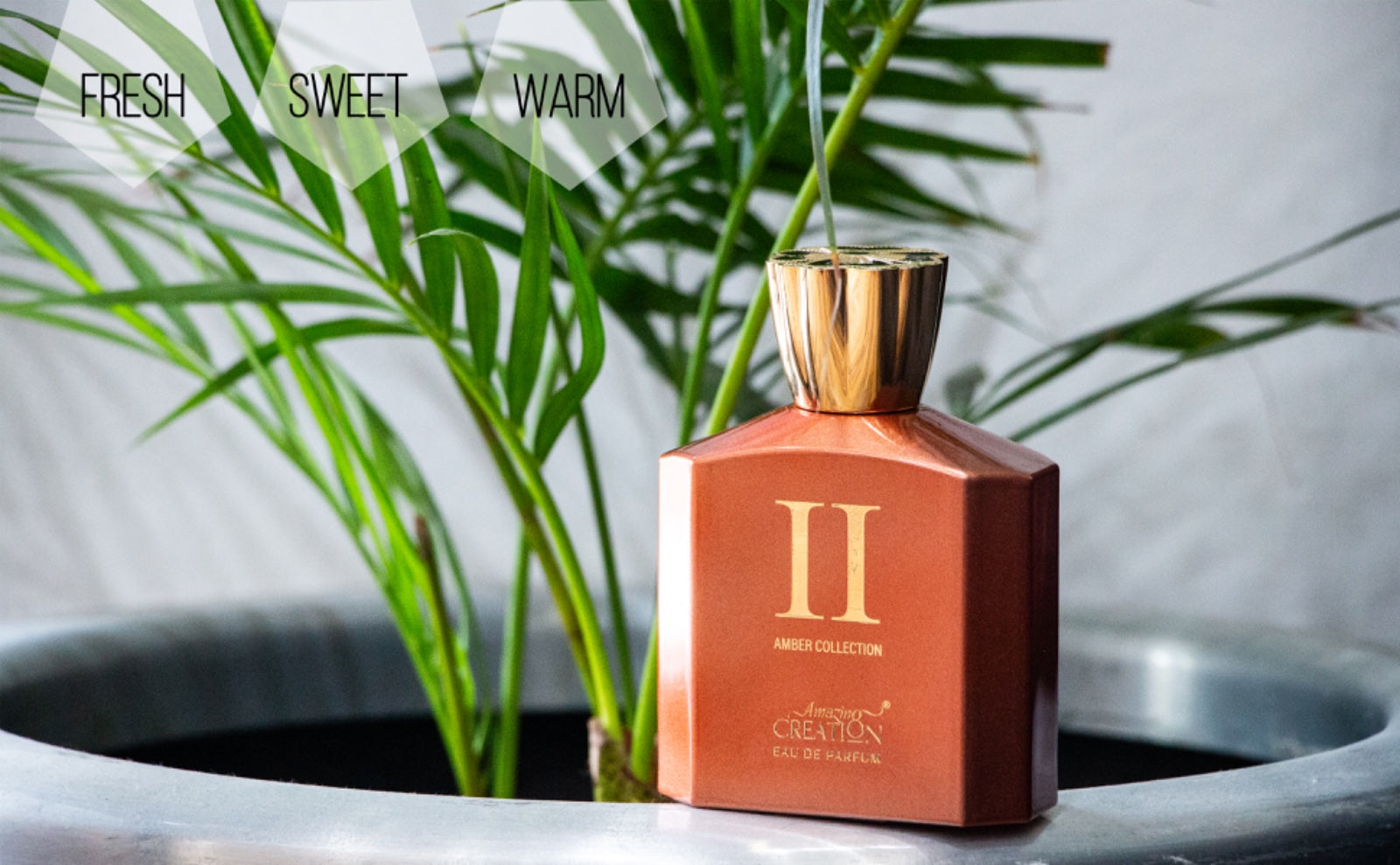 مجموعة العنبر - II للجنسين 100 مل