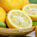 Oriental citrus