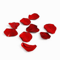 Rose Petals