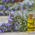 Rosemary Oil