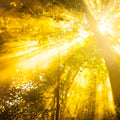 Solar Notes