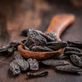 Tonka Bean