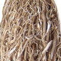 Vetiver