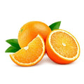 Perfumery Zesty Bitter Orange